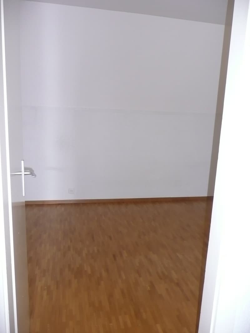 Grand appartement de 2,5 pièces avec balcon et vue panoramique (11)