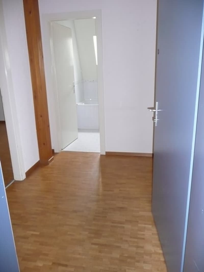 Grand appartement de 2,5 pièces avec balcon et vue panoramique (2)