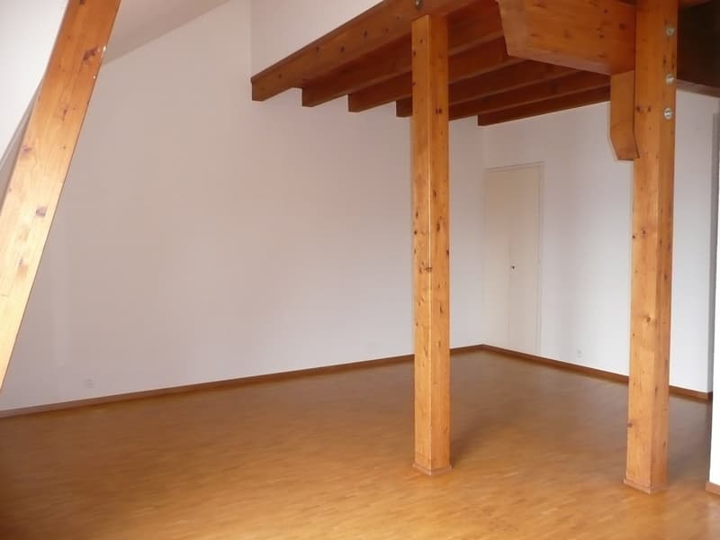 Grand appartement de 2,5 pièces avec balcon et vue panoramique (6)