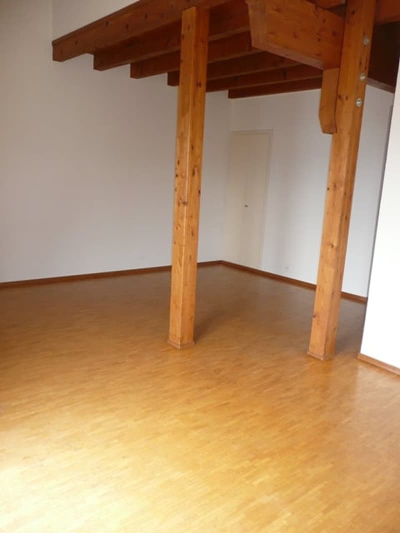 Grand appartement de 2,5 pièces avec balcon et vue panoramique (7)
