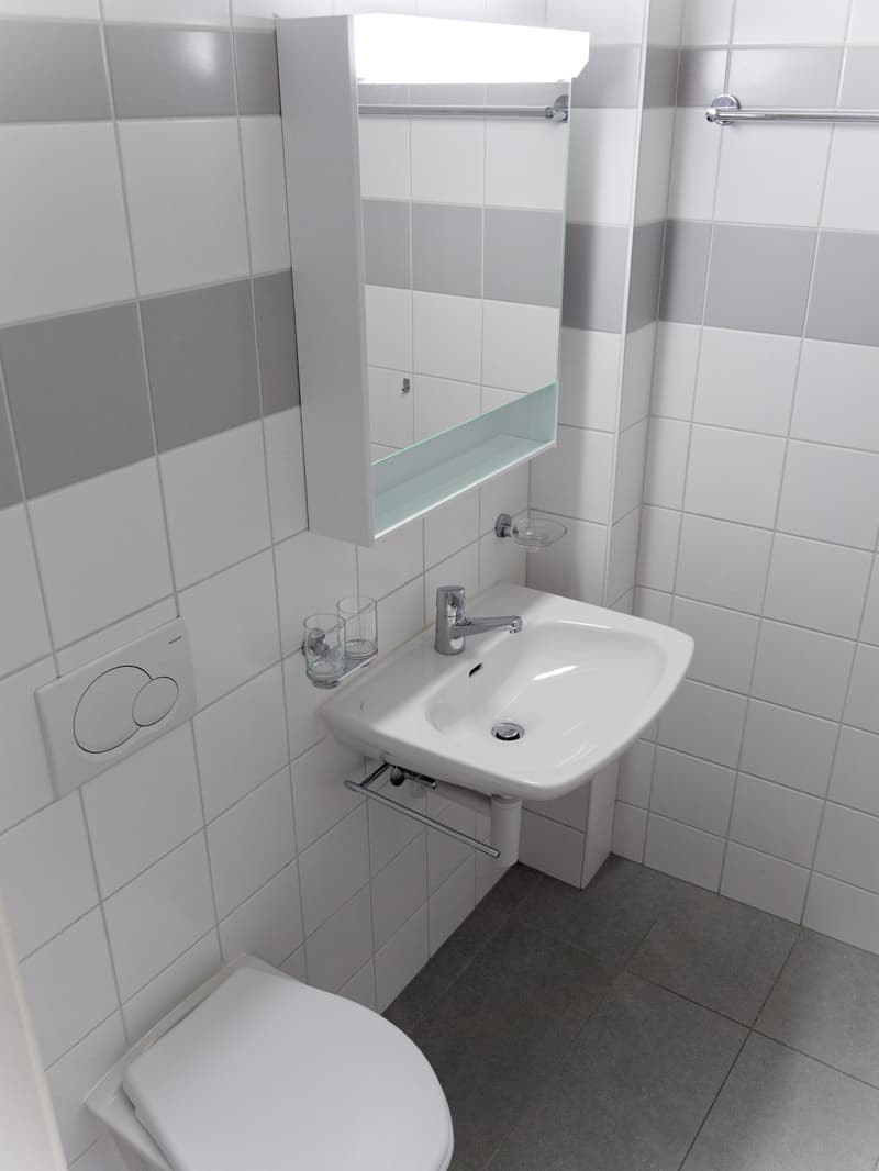 Appartement 2.5 pièces lumineux à louer – Lausanne, av. de la Dôle (5)