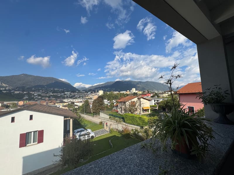 Terrace with plant, view of the mountains and the city
