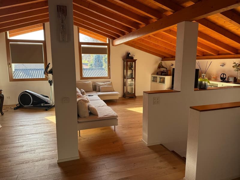 A room with wooden floor, a couch with pillows, a treadmill, a wooden cabinet, a window with blinds, and a wooden ceiling.