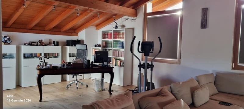 wooden floor, wooden ceiling, desk, chair, computer, books, couch, exercise equipment