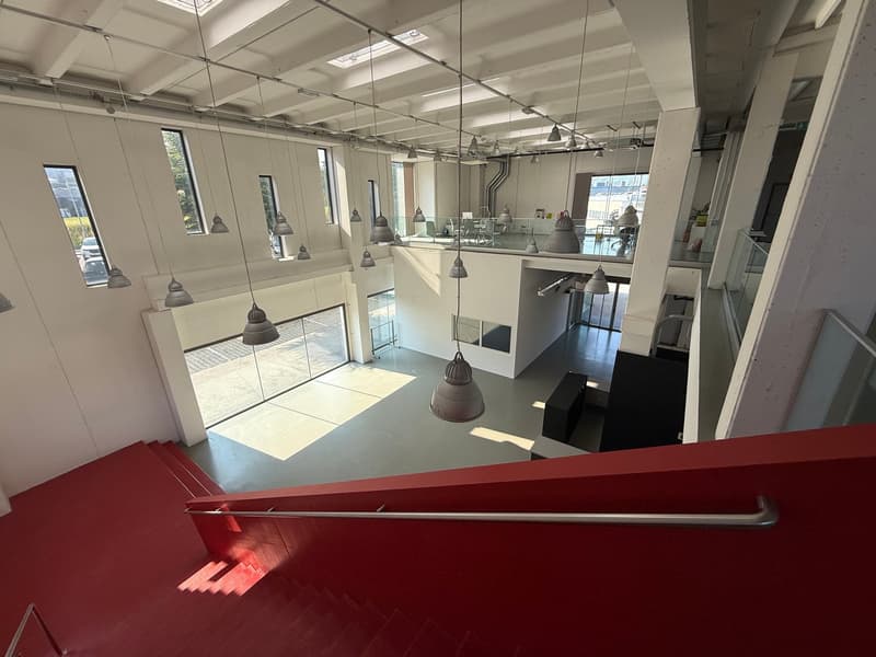 Mendrisio affittiamo ampio stabile commerciale/artigianale con ristorante (5)
