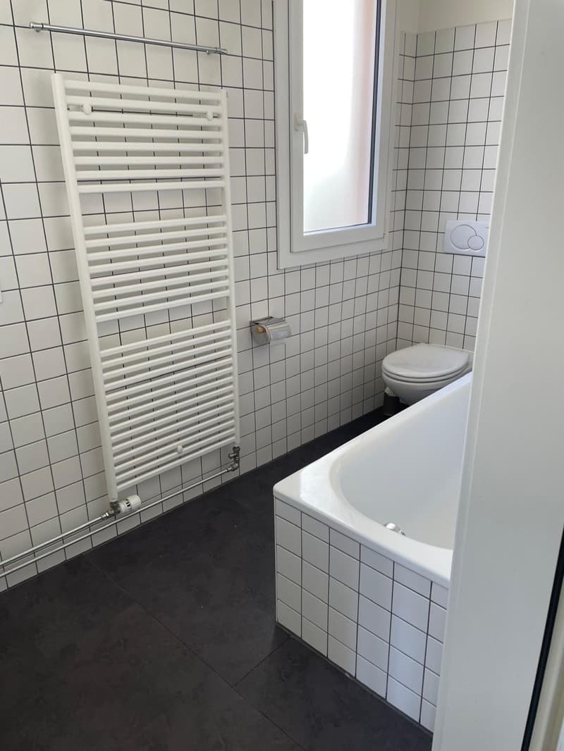 Curio – Ampio e luminoso 3.5 locali con grande terrazza (residenza secondaria possibile) (8)