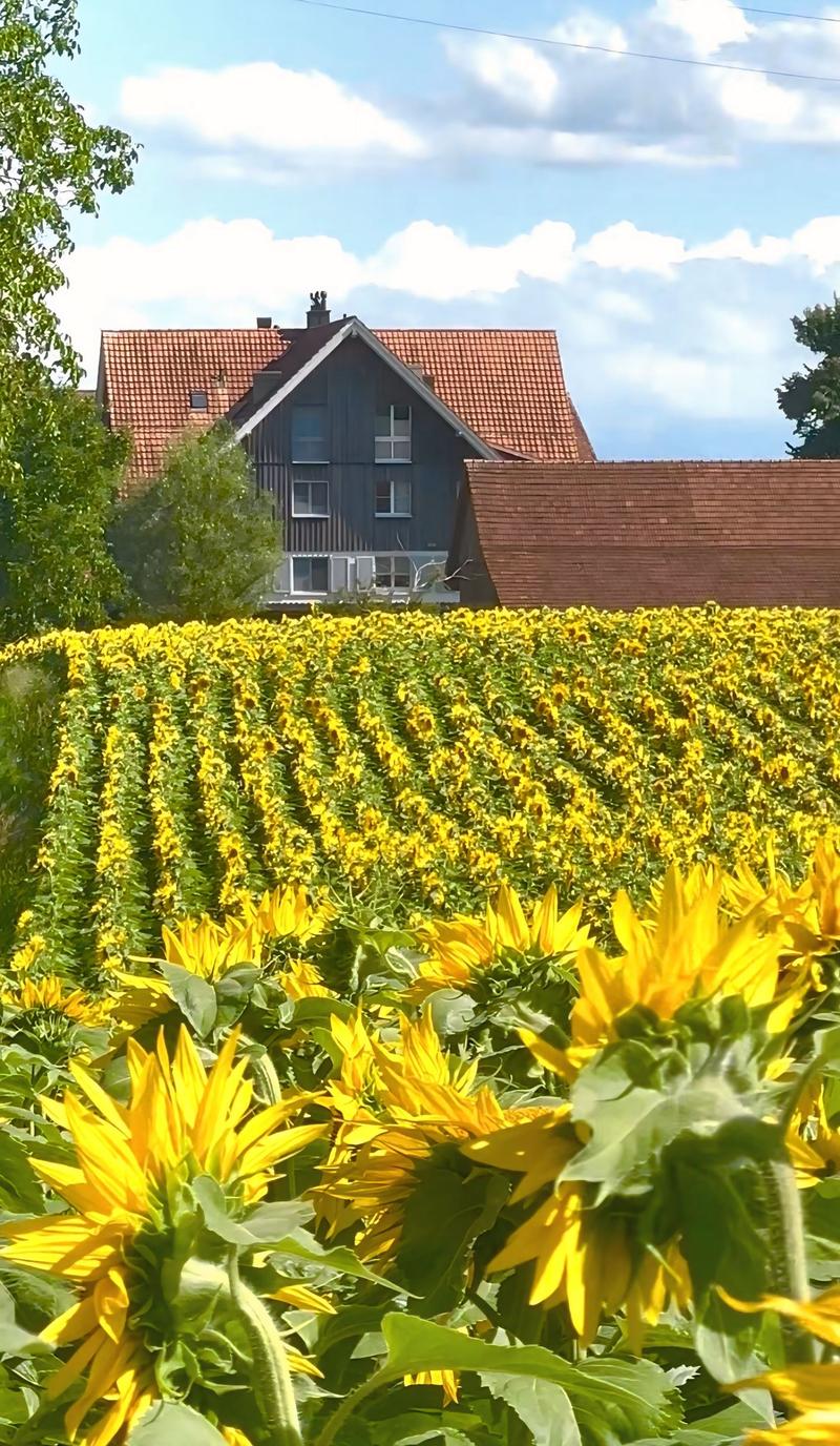 Suchen Sie Aussicht, Ruhe und einen Ort um anzukommen? Dann haben wir genau das Richtige für Sie! (2)