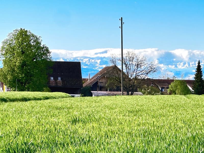 Letztes Haus im Dorf