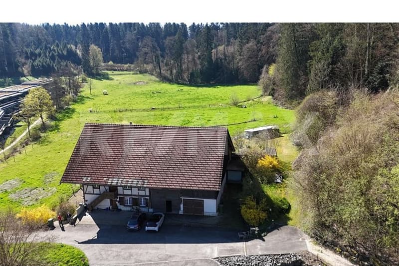 Charmantes Bauernhaus mit zwei Wohnungen, grossem Umschwung und vielseitigem Potenzial (5)
