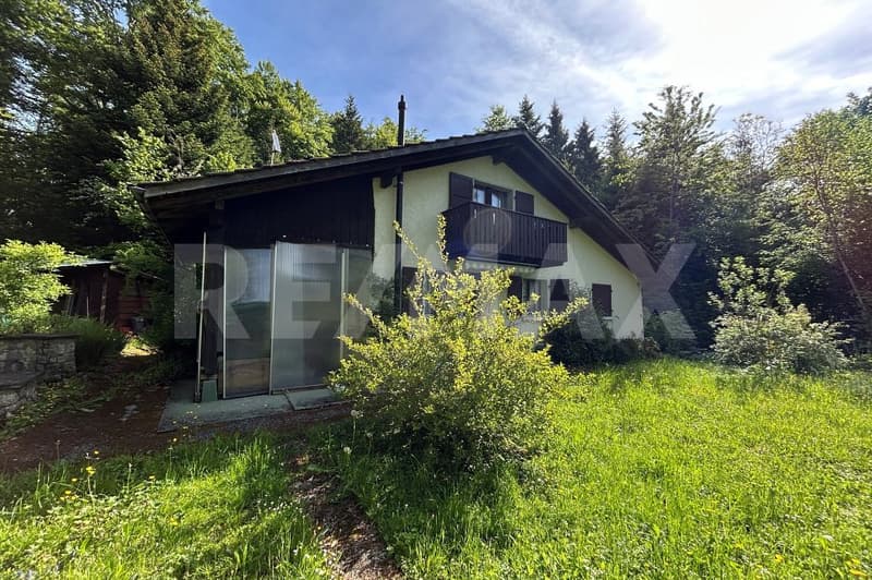 Charmantes Ferienhaus mit grosser Gartenanlage in idyllischer Naturlage (11)