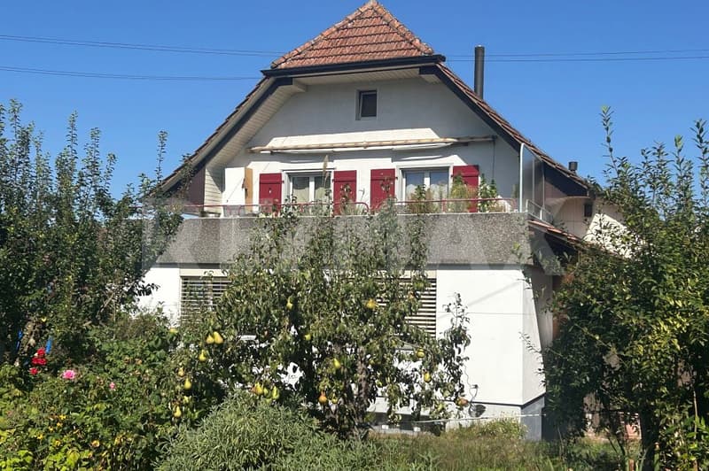 Charmante 3.5-Zimmer-Wohnung (10)