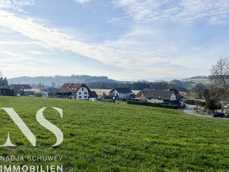 Leben im Grünen - Nur noch ein Haus verfügbar (6)