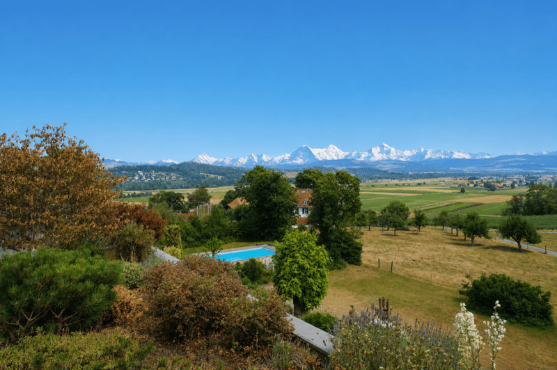 GROSSEN IMMOBILIEN - Exklusives 5.5-Zimmer-Terrassenhaus mit Panorama auf Aaretal und Berner Alpen (3)
