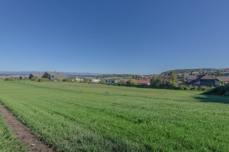 GROSSEN IMMOBILIEN - Bauland in Bäriswil (4)