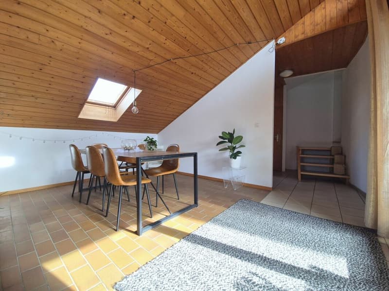 Spacieux appartement de 3 pièces - 1 chambre (4)