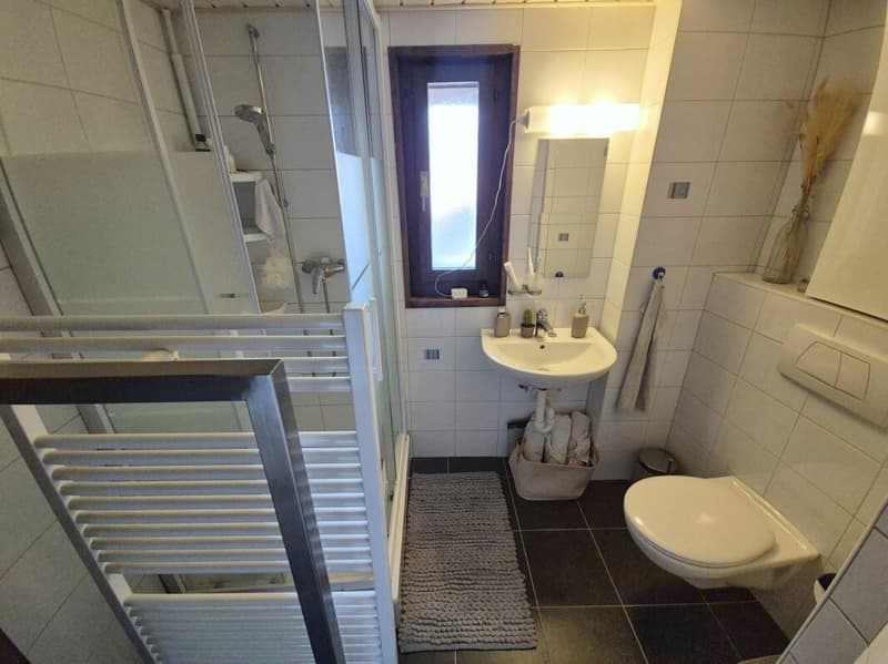 Spacieux appartement de 3 pièces - 1 chambre (9)