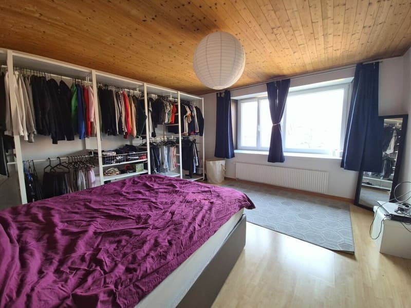 Spacieux appartement de 3 pièces - 1 chambre (7)