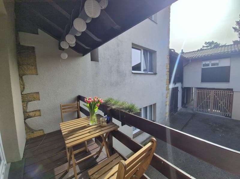 Spacieux appartement de 3 pièces - 1 chambre (6)