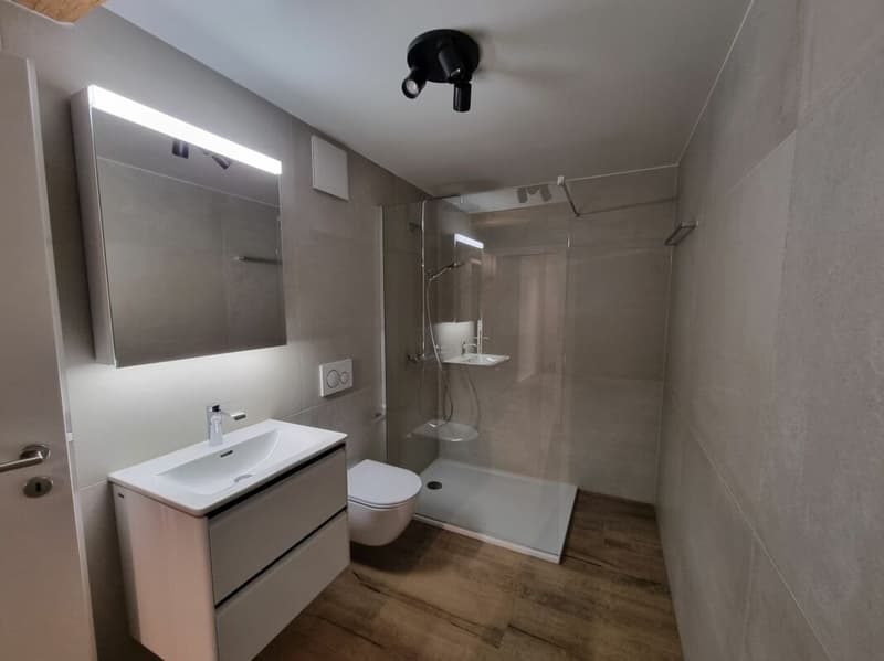 Appartement de 2,5 pièces + espace sous comble (7)
