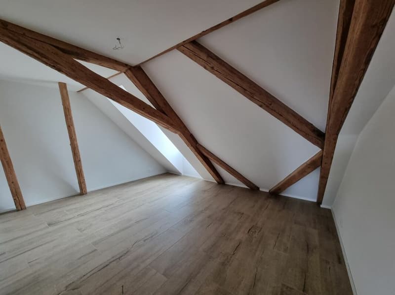 Appartement de 2,5 pièces + espace sous comble (4)