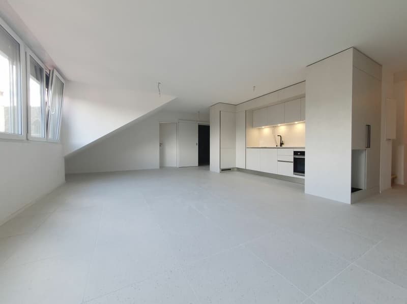 Appartement de 2,5 pièces + espace sous comble (4)