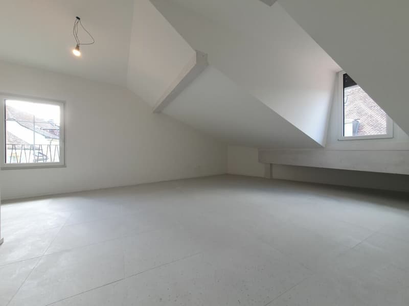 Appartement de 2,5 pièces + espace sous comble (2)