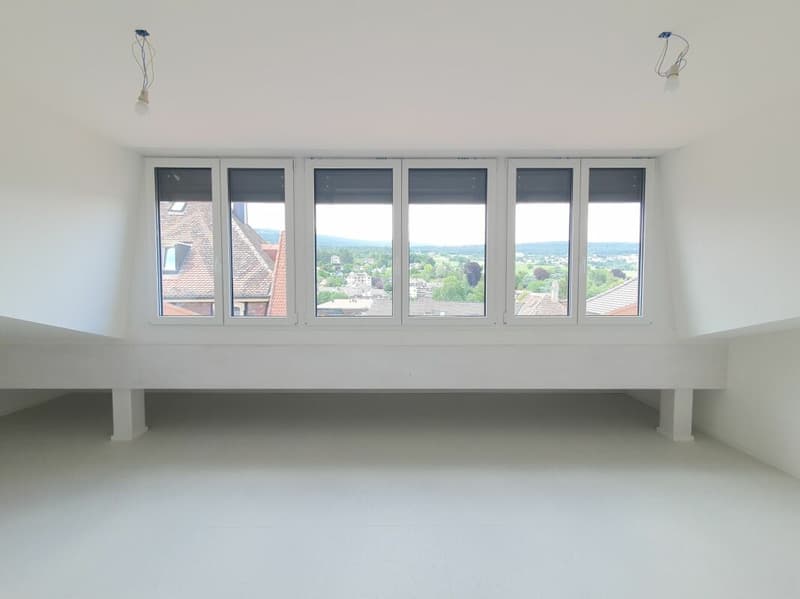 Appartement de 2,5 pièces + espace sous comble (3)