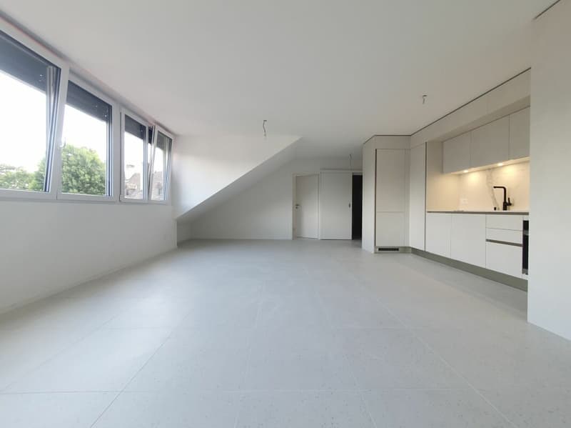 Appartement de 2,5 pièces + espace sous comble (5)