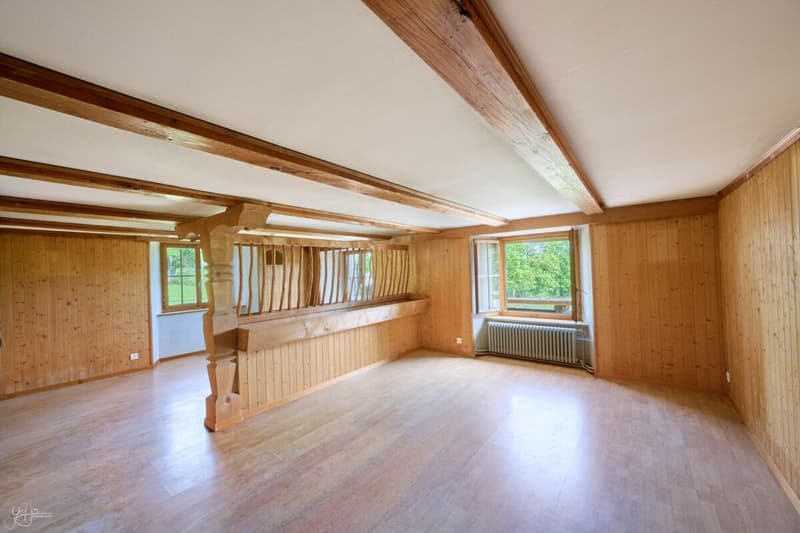 RESERVE - Ancienne ferme à rénover au coeur de la verdure (7)