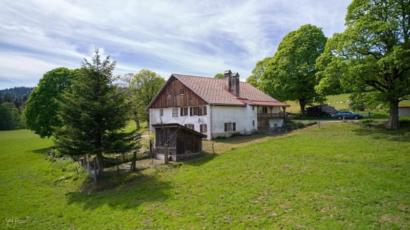 RESERVE - Ancienne ferme à rénover au coeur de la verdure (3)