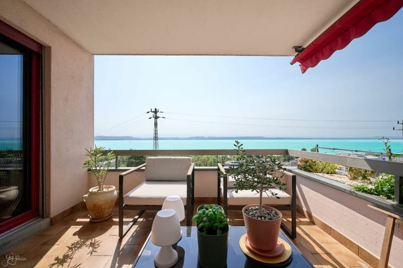 Appartement de 4.5 pièces avec vue imprenable sur le lac (2)
