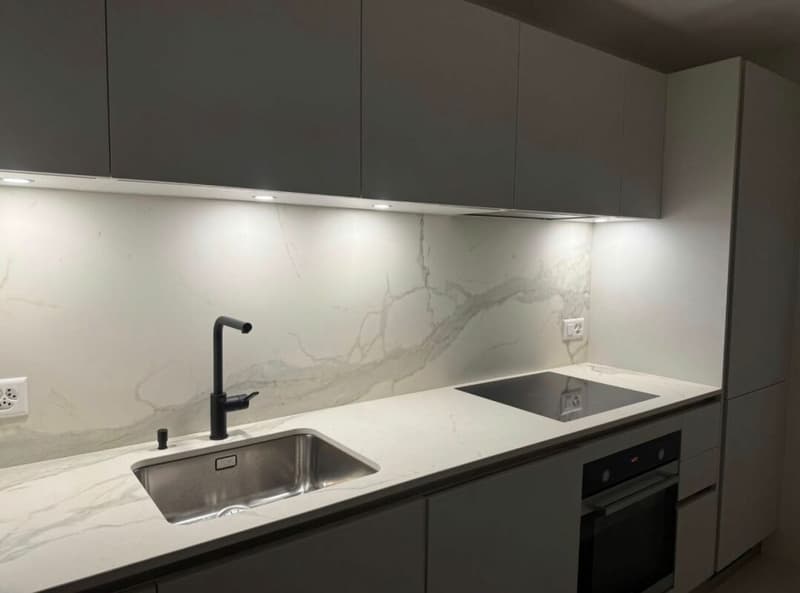 Appartement de 1,5 pièces avec balcon (3)