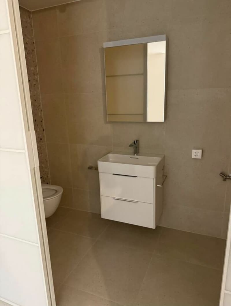 Appartement de 1,5 pièces avec balcon (4)