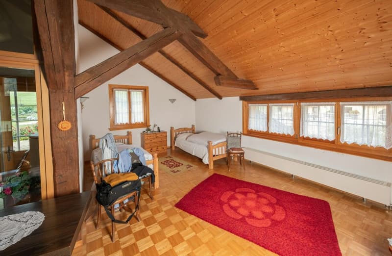 Ancienne ferme entièrement rénovée (11)