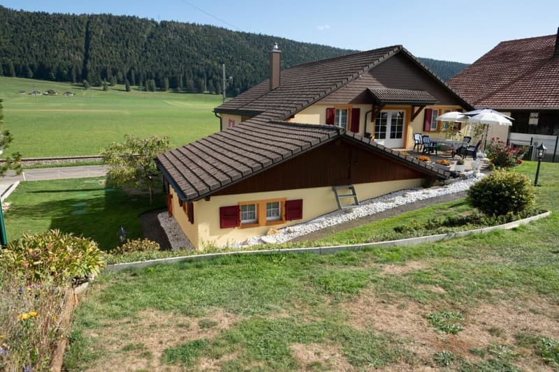 Ancienne ferme entièrement rénovée (3)