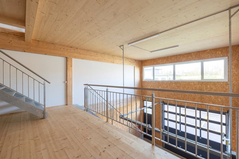 The image shows a large open space with a wooden ceiling and walls. There is a metal railing along the upper level, indicating a second floor or mezzanine. The floor is made of wood planks. The space has large windows that provide natural light. Overall,