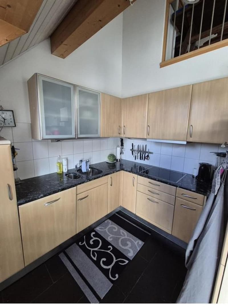 4.5-Zimmer-Duplex-Dachwohnung - Wohnen über den Dächern von L.A. (5)
