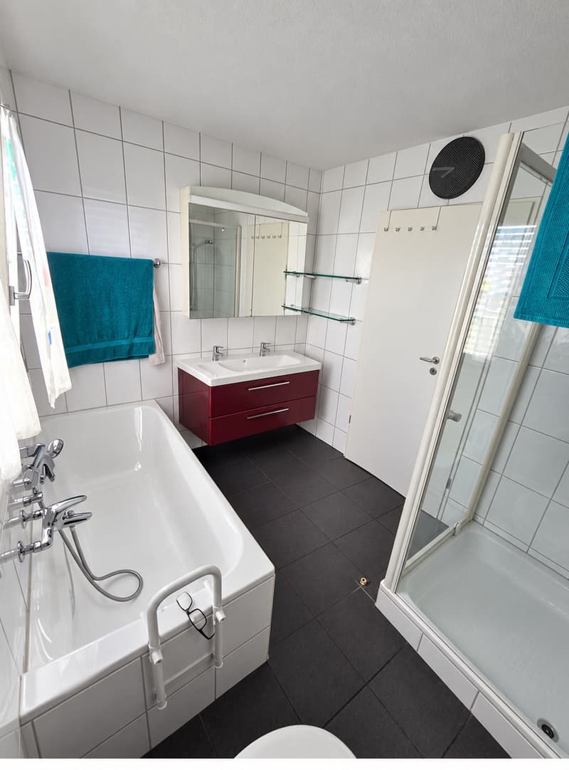 4.5-Zimmer-Duplex-Dachwohnung - Wohnen über den Dächern von L.A. (4)