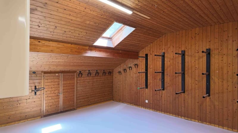 Tenant wanted! Reithalle Burgdorf incl. riding arena (7)
