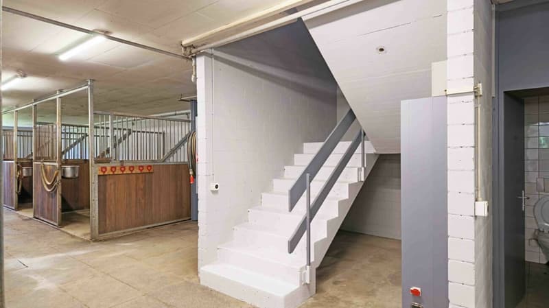 Tenant wanted! Reithalle Burgdorf incl. riding arena (3)