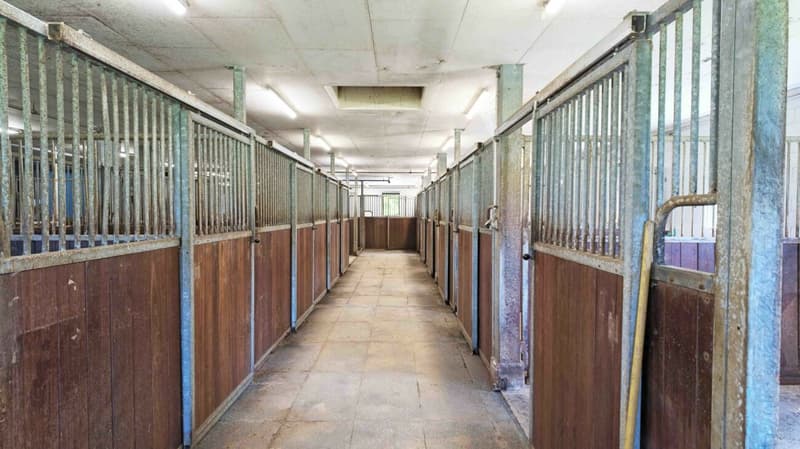 Tenant wanted! Reithalle Burgdorf incl. riding arena (12)