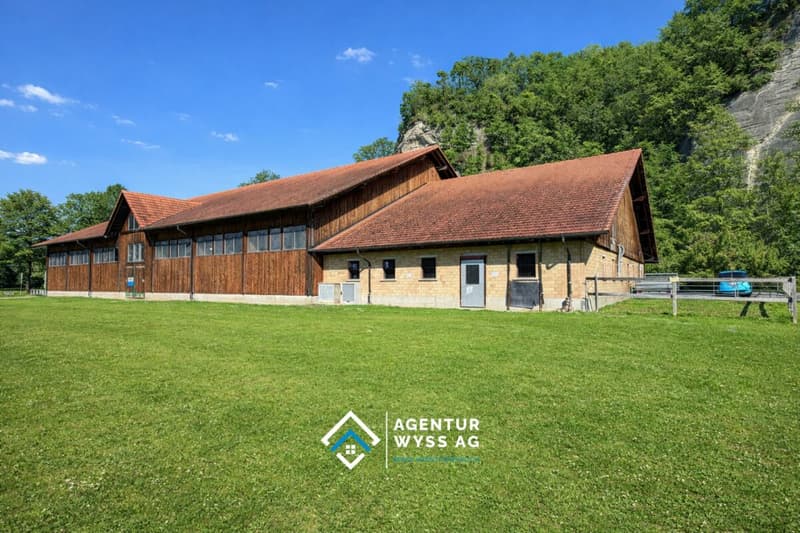 Tenant wanted! Reithalle Burgdorf incl. riding arena (1)