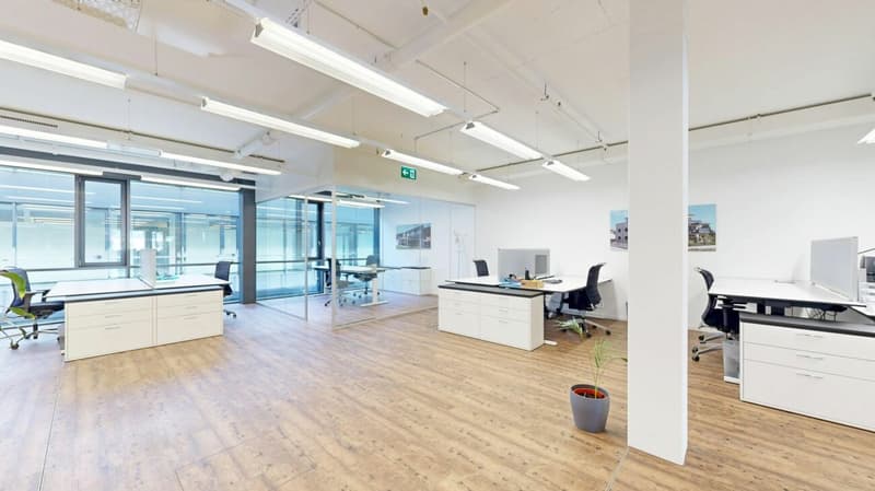 Modern commercial space in the "Paradies" business park (3)