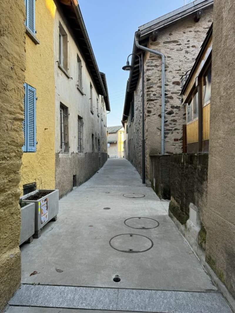 Ticino residential oasis with garden (13)