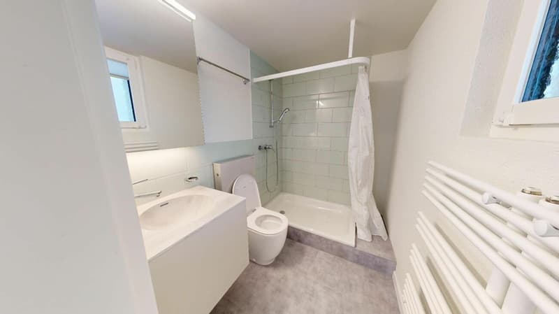 Sanierte 3.5 Zimmer Wohnung per 01.06.26! (7)