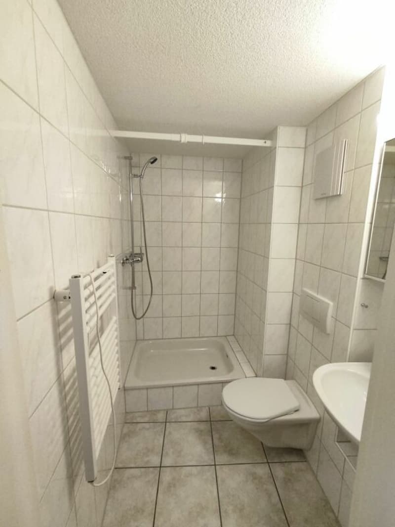 Grosszügige 4.5 Zi. Altstadtwohnung mit Balkon (10)