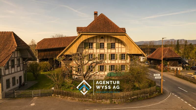 Grosszügige 8.5-Zimmer-Wohnung mit direktem Zugang zum Gewölbekeller (1)