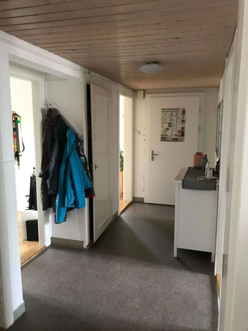 4.0 Zimmer Wohnung in der ehemaligen Bijouterie zu vermieten (6)