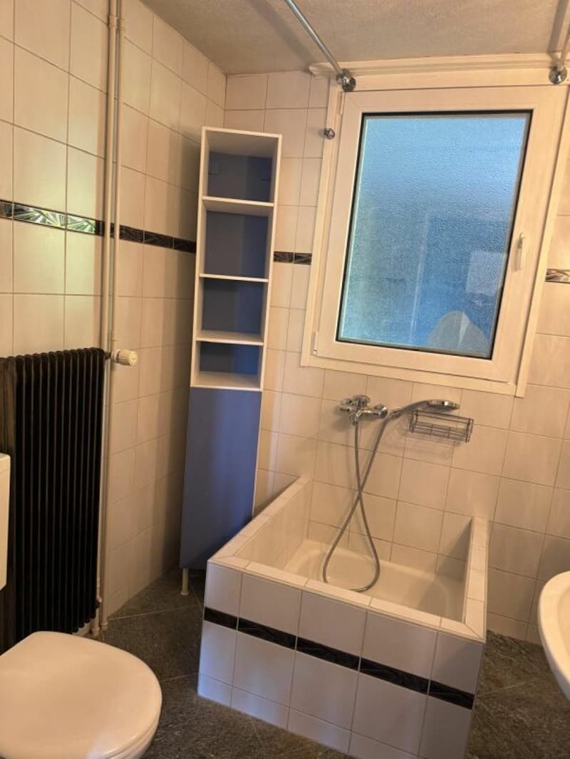 1.5 Zimmer Wohnung (10)