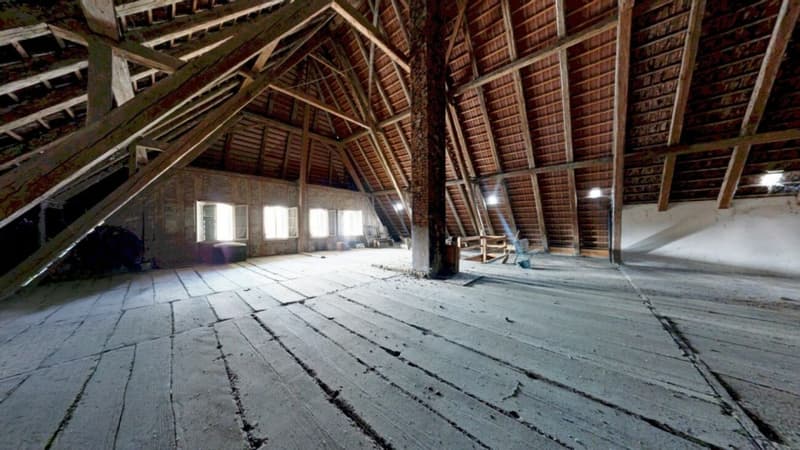 Historisches Juwel mit Entwicklungspotenzial (13)